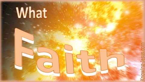 What Faith (devotional) (orange)